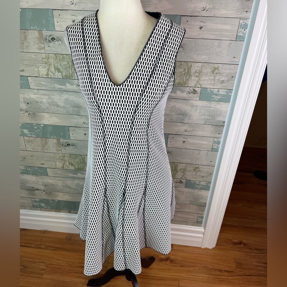 10 Crosby Derek Lam dress size 4